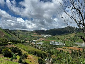 Agro-Ecotourism in Constanza