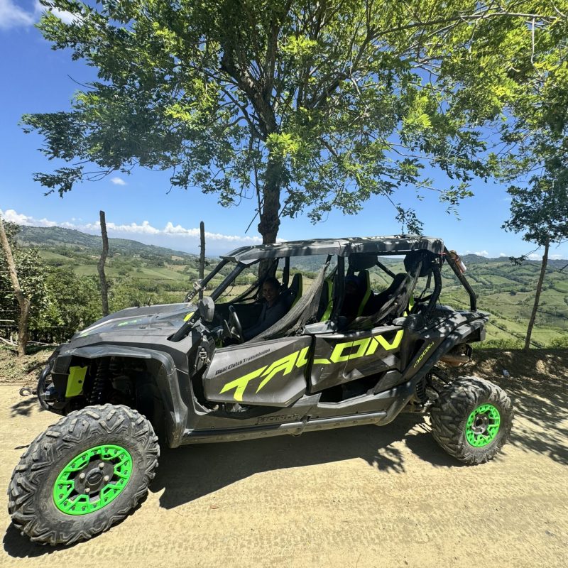 buggy green